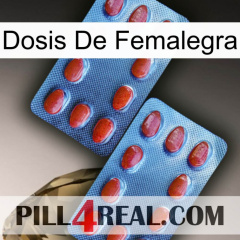 Femalegra Dosage 05